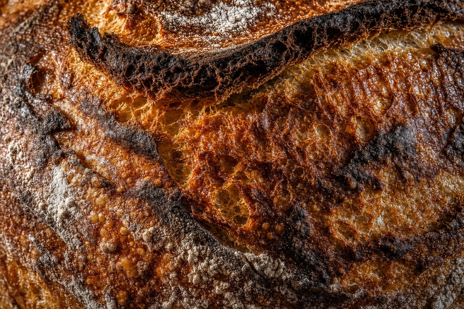 Macro close-up of sourdough crust showing blisters, char marks, scoring ear curl, and flour bloom in raking side light