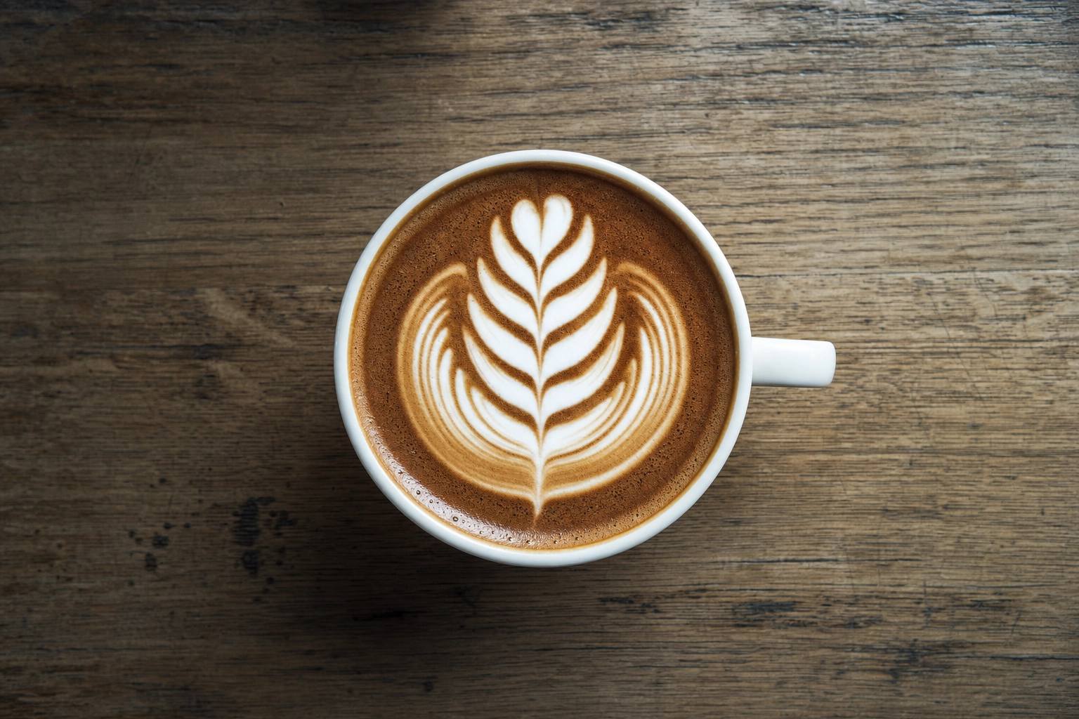 Vista cenital de un latte art en patrón rosetta sobre taza blanca mostrando hojas de helecho de microespuma perfectamente simétricas