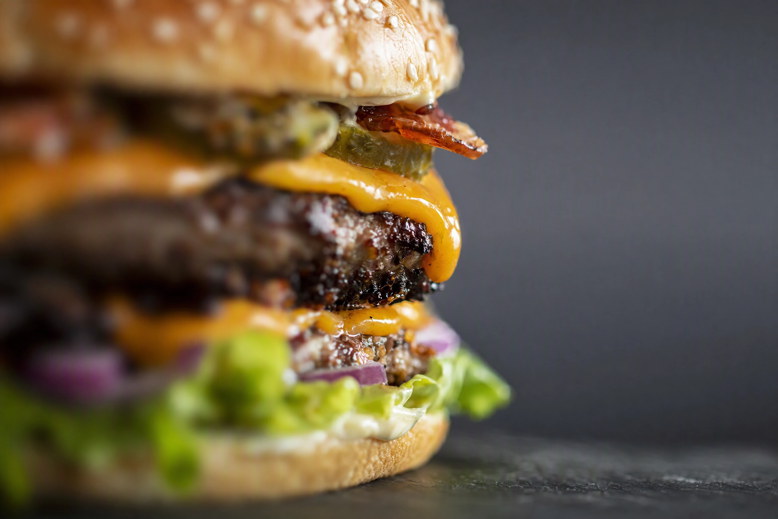 Macro side view of a burger with only a thin band in sharp focus, showing shallow depth of field at wide aperture