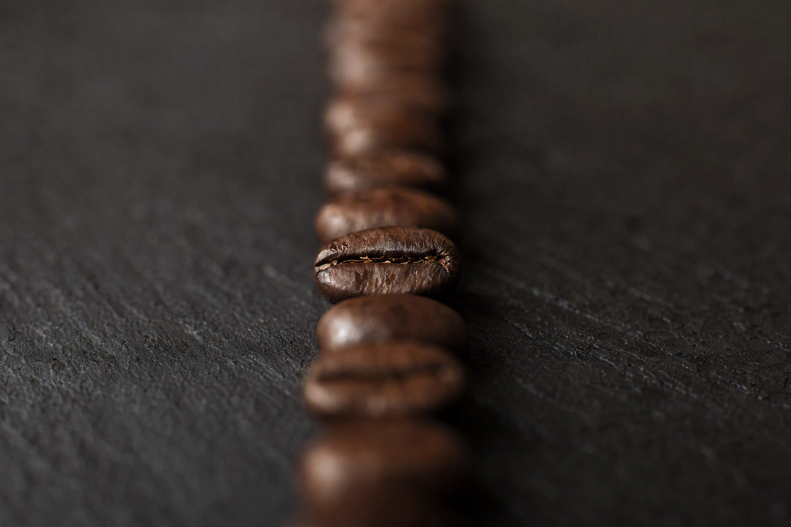 Row of coffee beans with only one bean sharp, showing the sub-millimetre depth of field in macro food photography