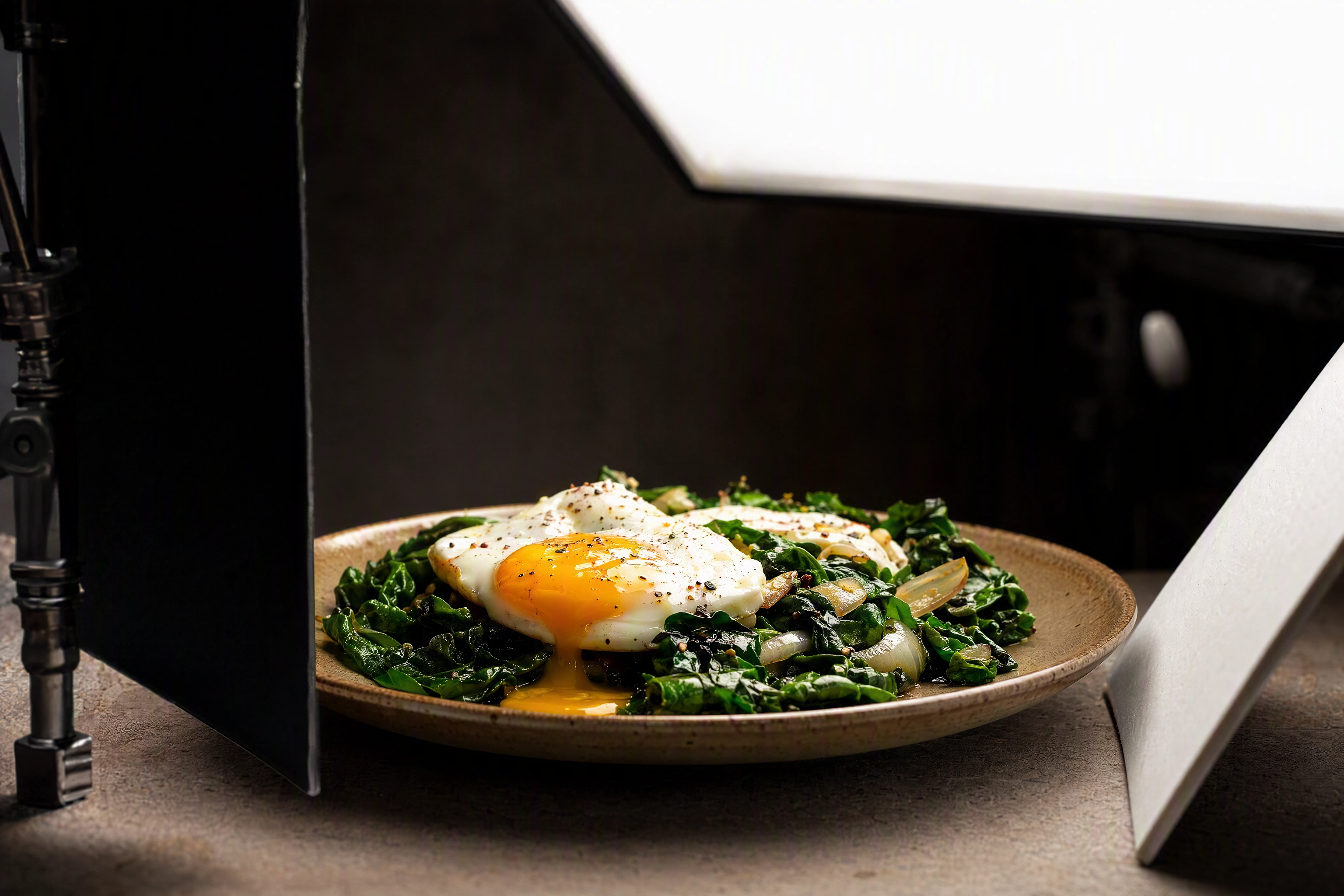 Plated dish lit by softbox and bounce cards, showing the controlled setup a professional food shoot fee buys