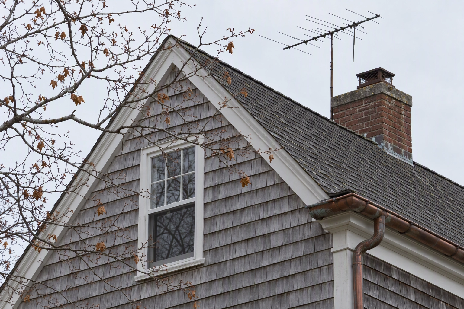 Bare branches, antenna and gutter against a grey sky on a Cape Cod roofline, edges to check after sky replacement